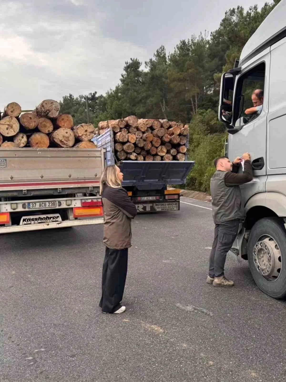 Sinop ormanları için yol denetimi: Ekipler 24 saat sahada